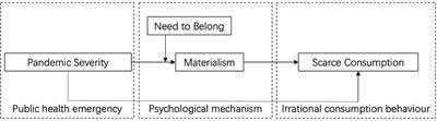 The Impact of COVID-19 and Public Health Emergencies on Consumer Purchase of Scarce Products in China